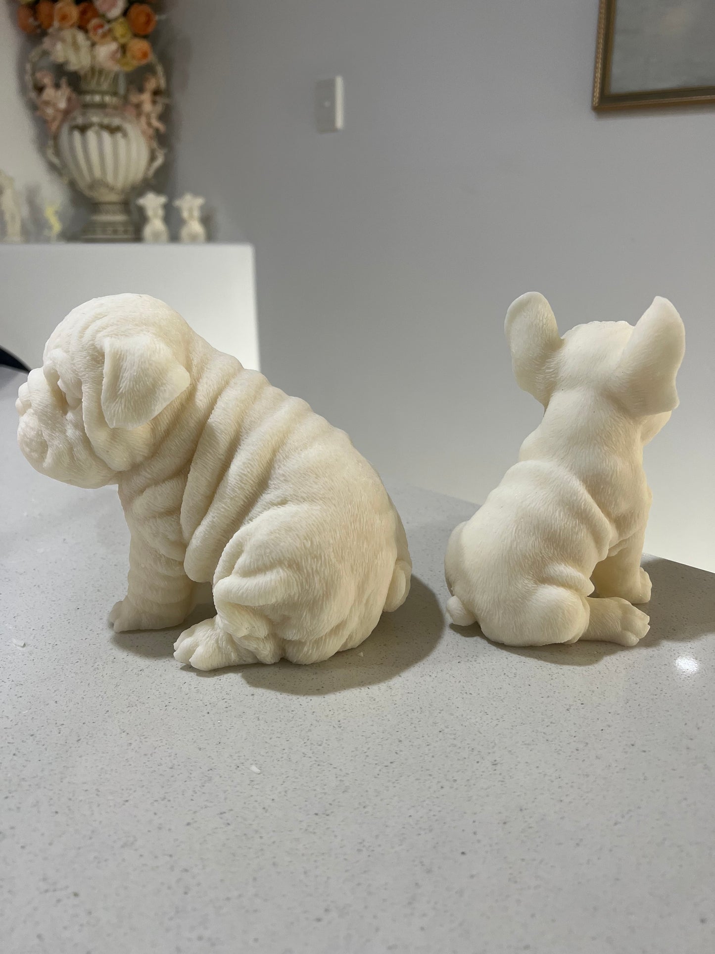 Bulldogs Bundle (set of 2)