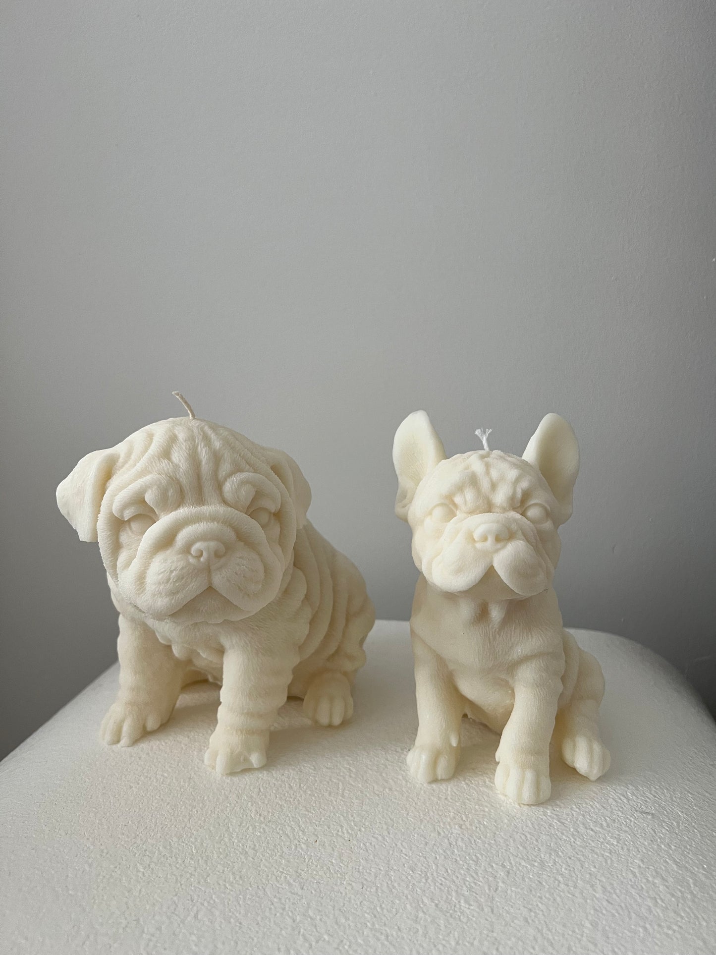 Bulldogs Bundle (set of 2)