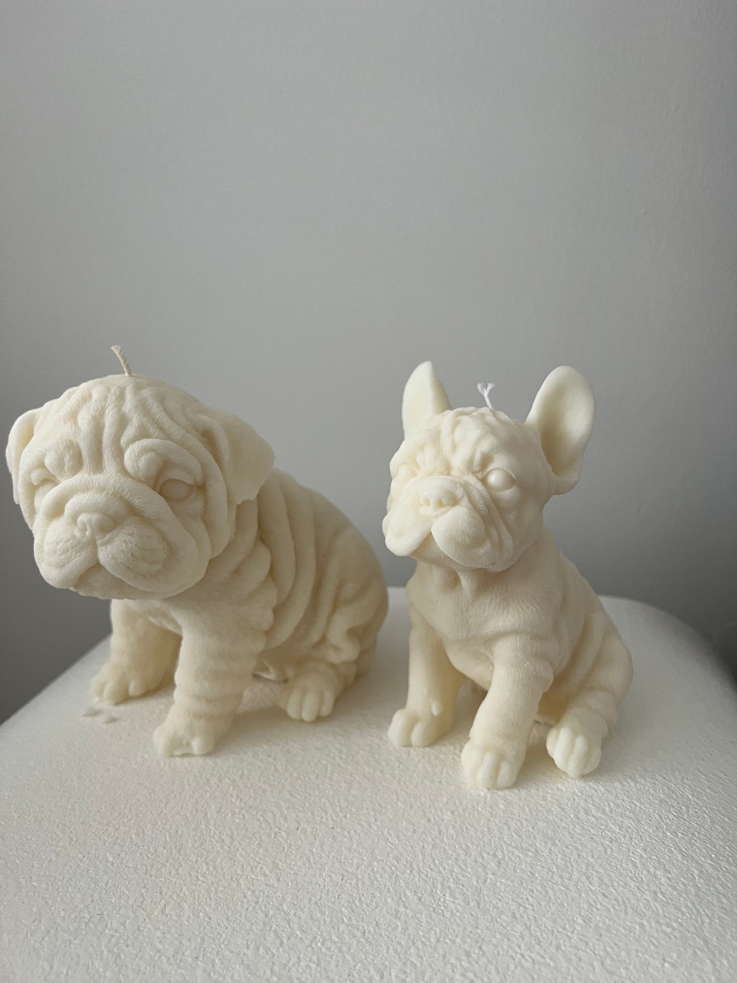 Bulldogs Bundle (set of 2)